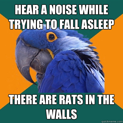 Hear a noise while trying to fall asleep there are rats in the walls  Paranoid Parrot