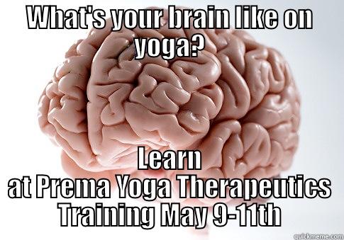 WHAT'S YOUR BRAIN LIKE ON YOGA? LEARN AT PREMA YOGA THERAPEUTICS TRAINING MAY 9-11TH Scumbag Brain
