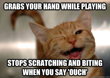 grabs your hand while playing stops scratching and biting when you say 'ouch' - grabs your hand while playing stops scratching and biting when you say 'ouch'  GoodGuyCat