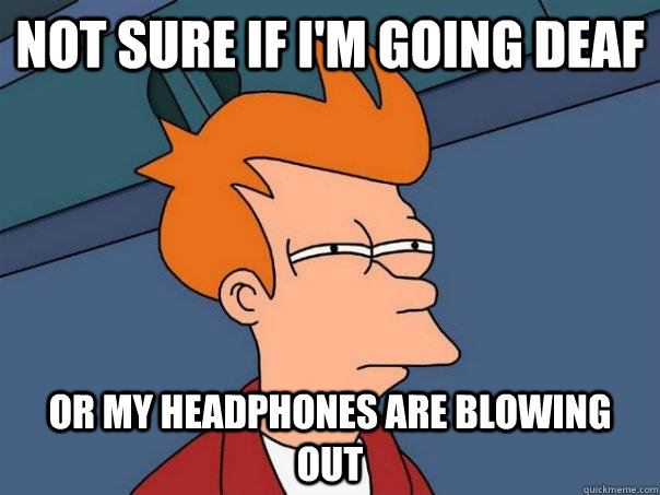 Not sure if i'm going deaf Or my headphones are blowing out  Futurama Fry
