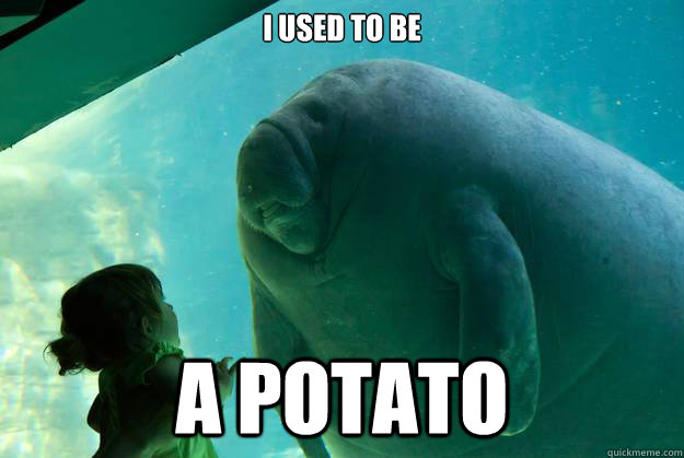 I used to be A potato  Overlord Manatee