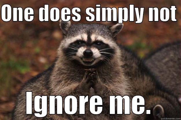 ONE DOES SIMPLY NOT  IGNORE ME. Evil Plotting Raccoon
