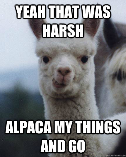 Yeah that was harsh Alpaca my things and go  