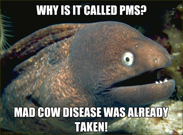 Why is it called PMS? Mad Cow Disease was already taken! - Why is it called PMS? Mad Cow Disease was already taken!  Bad Joke Eel