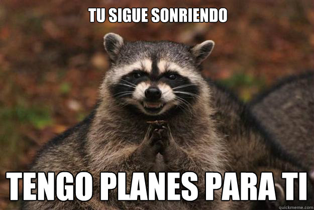 Tu sigue sonriendo tengo planes para ti
  Evil Plotting Raccoon