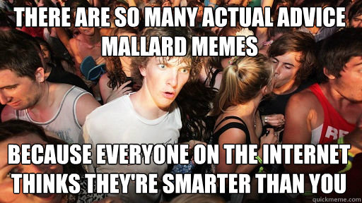 There are so many actual advice mallard memes because everyone on the internet thinks they're smarter than you  Sudden Clarity Clarence