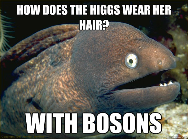 How does the Higgs wear her hair? with bosons  Bad Joke Eel
