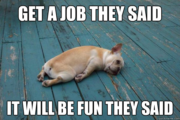 get a job they said it will be fun they said - get a job they said it will be fun they said  wornout dog