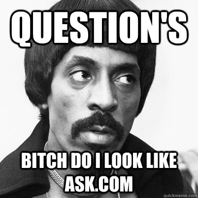 question's bitch do I look like ask.com - question's bitch do I look like ask.com  Ike Turner
