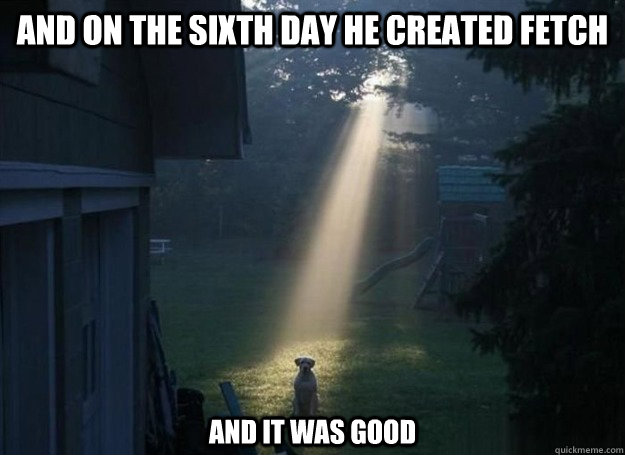 And on the sixth day he created fetch and it was good  