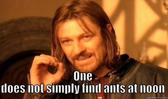  ONE DOES NOT SIMPLY FIND ANTS AT NOON Boromir