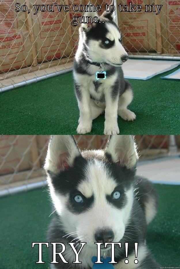 SO, YOU'VE COME TO TAKE MY GUNS.. TRY IT!! Insanity puppy