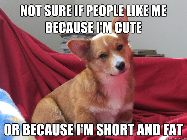 Not sure if people like me because i'm cute or because i'm short and fat  Confused Corgi