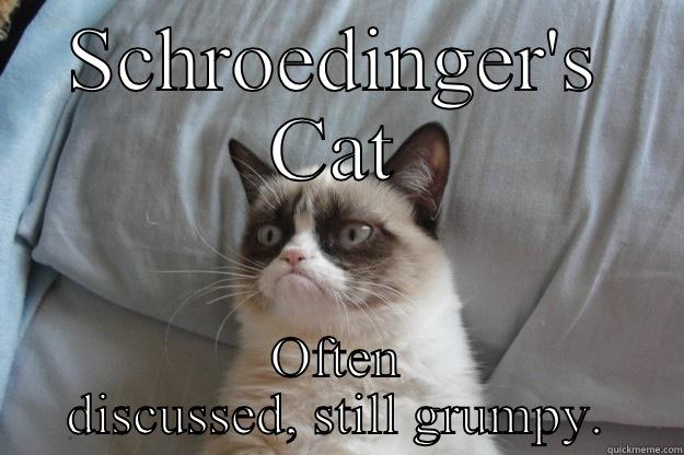 SCHROEDINGER'S CAT OFTEN DISCUSSED, STILL GRUMPY. Grumpy Cat