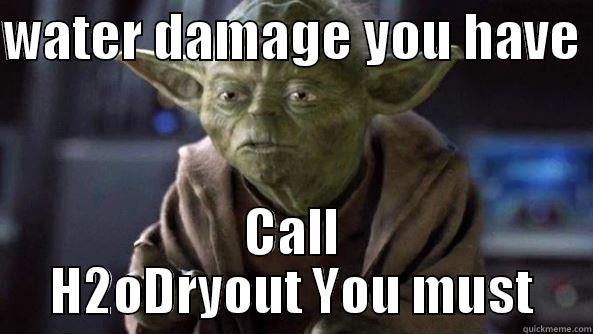 WATER DAMAGE YOU HAVE  CALL H2ODRYOUT YOU MUST True dat, Yoda.
