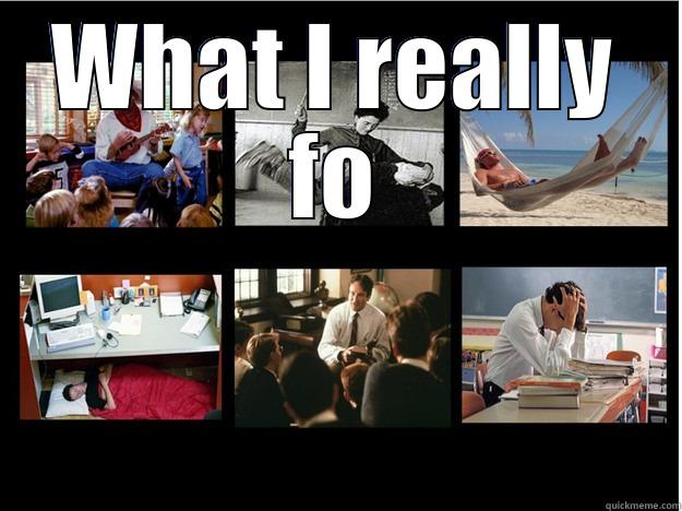 WHAT I REALLY FO  What People Think I Do