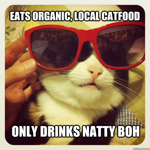 eats organic, local catfood only drinks natty boh  Hipster Cat