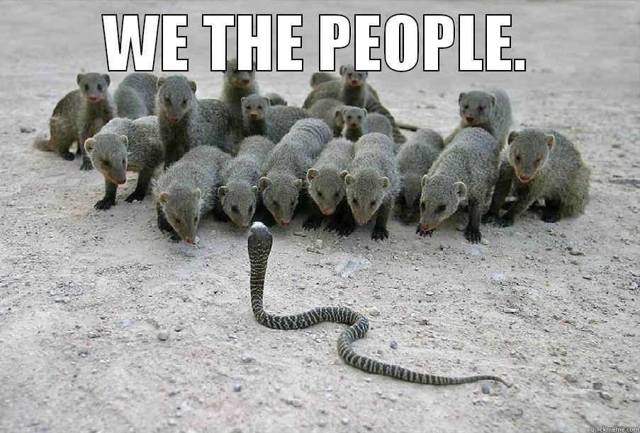 WE THE PEOPLE.  Misc