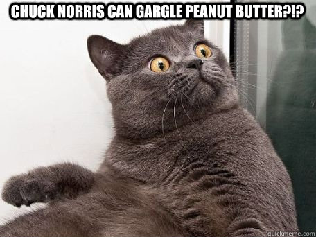 Chuck Norris can gargle peanut butter?!?  conspiracy cat