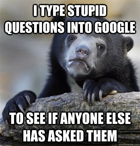 I type stupid questions into google to see if anyone else has asked them - I type stupid questions into google to see if anyone else has asked them  Confession Bear
