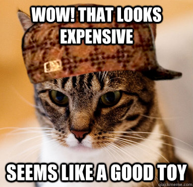 Wow! That looks expensive Seems like a good toy  Scumbag Cat