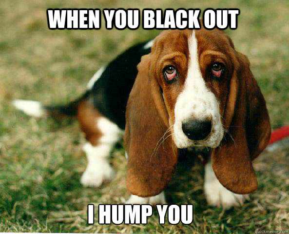 When you black out I hump you - When you black out I hump you  Basset Hound of guilt