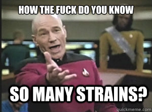 how the fuck do you know so many strains?  Annoyed Picard