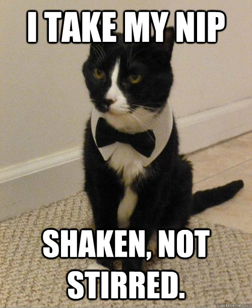 I take my nip shaken, not stirred. - I take my nip shaken, not stirred.  007 Cat