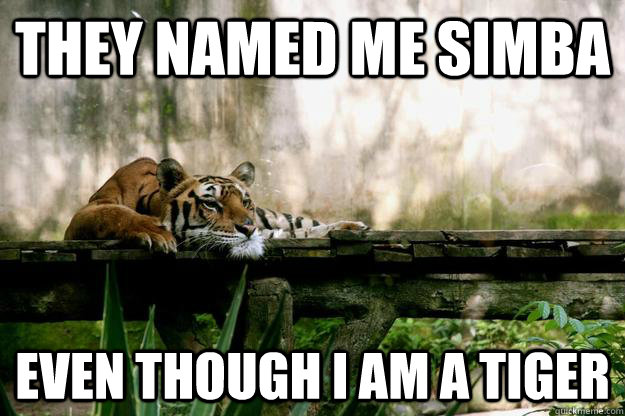 They named me simba even though i am a tiger - They named me simba even though i am a tiger  Depressed Thought Tiger