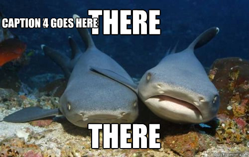 There There Caption 3 goes here Caption 4 goes here  Compassionate Shark Friend