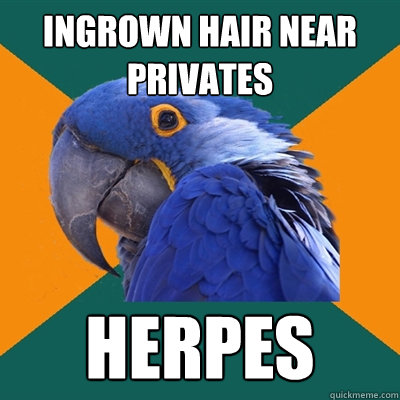 Ingrown Hair near privates herpes  Paranoid Parrot