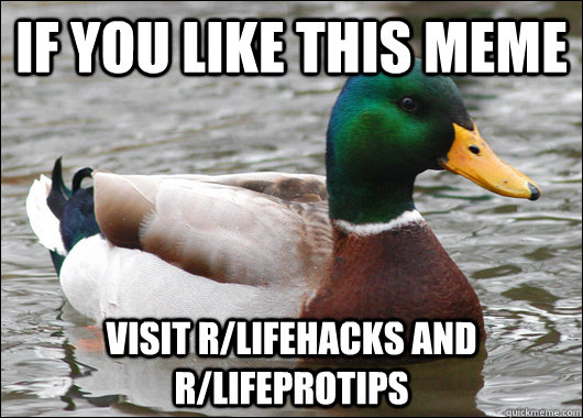 If you like this meme visit r/lifehacks and r/lifeprotips  Actual Advice Mallard