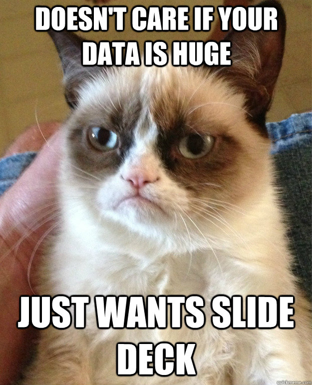Doesn't Care if Your Data is Huge Just Wants slide deck  Grumpy Cat