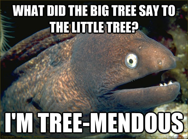 What did the big tree say to the little tree? I'm Tree-mendous - What did the big tree say to the little tree? I'm Tree-mendous  Bad Joke Eel