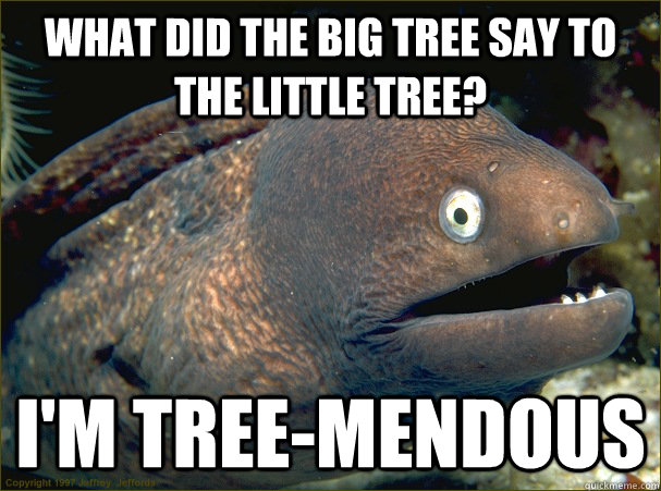 What did the big tree say to the little tree? I'm Tree-mendous  Bad Joke Eel
