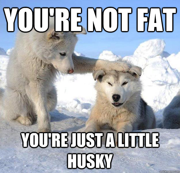you're not fat
 you're just a little husky - you're not fat
 you're just a little husky  Caring Husky