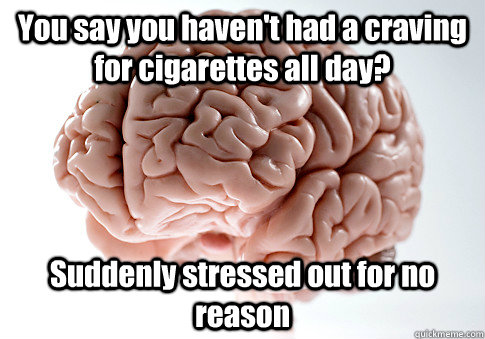 You say you haven't had a craving for cigarettes all day? Suddenly stressed out for no reason  - You say you haven't had a craving for cigarettes all day? Suddenly stressed out for no reason   Scumbag Brain