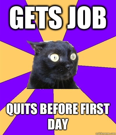 Gets job Quits before first day  Anxiety Cat