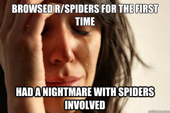 Browsed r/spiders for the first time Had a nightmare with spiders involved   First World Problems