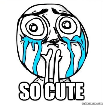  SO CUTE -  SO CUTE  Crying meme
