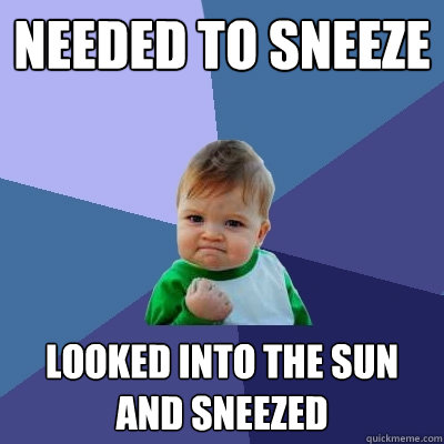 Needed to sneeze looked into the sun and sneezed  Success Kid