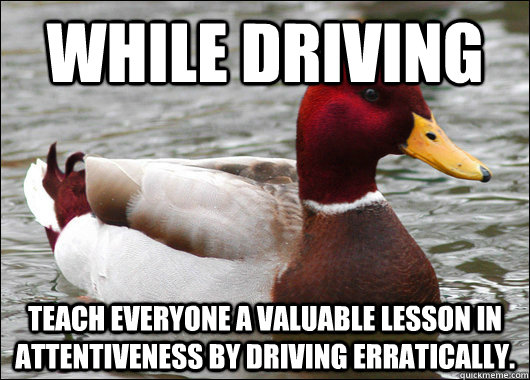 while driving teach everyone a valuable lesson in attentiveness by driving erratically.  Malicious Advice Mallard