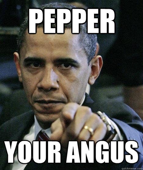 pepper your angus - pepper your angus  Pissed Off Obama