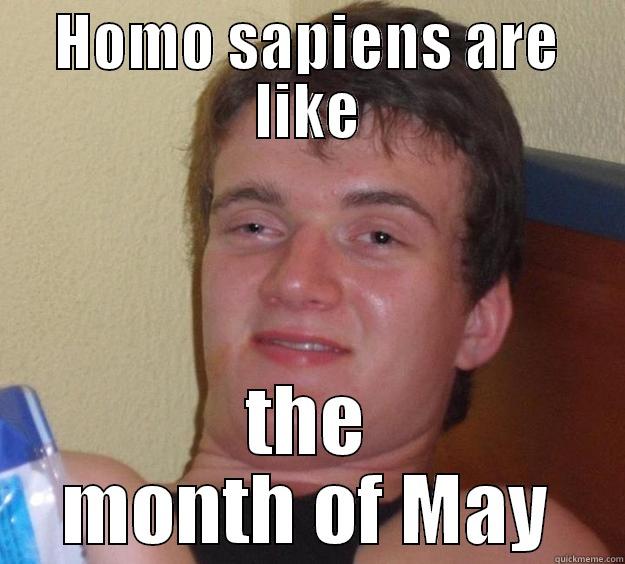 HOMO SAPIENS ARE LIKE THE MONTH OF MAY 10 Guy