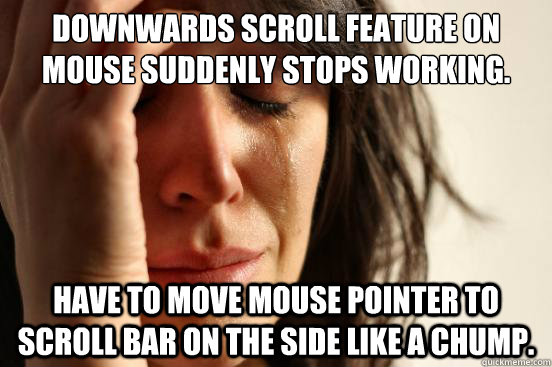 downwards scroll feature on mouse suddenly stops working. have to move mouse pointer to scroll bar on the side like a chump.  First World Problems