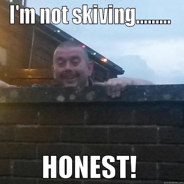 I'M NOT SKIVING......... HONEST! Misc
