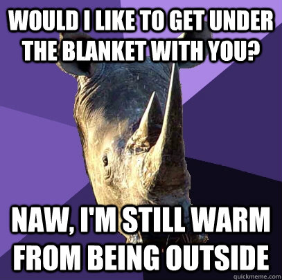 Would I like to get under the blanket with you? Naw, I'm still warm from being outside  Sexually Oblivious Rhino
