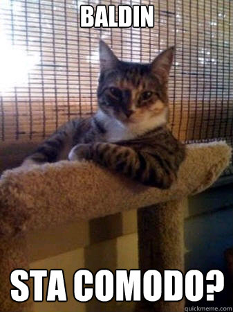 baldin sta comodo?  The Most Interesting Cat in the World