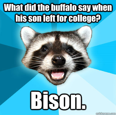 What did the buffalo say when his son left for college? Bison.  Lame Pun Coon
