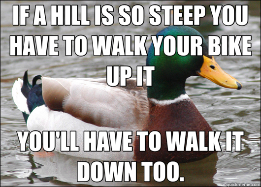 IF A HILL IS SO STEEP YOU HAVE TO WALK YOUR BIKE UP IT YOU'LL HAVE TO WALK IT DOWN TOO.  Actual Advice Mallard